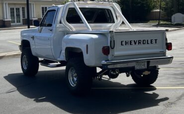 Chevrolet-C-10-1983-Standard-Cab-Pickup-11