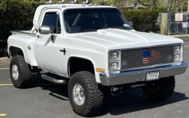 Chevrolet-C-10-1983-Standard-Cab-Pickup-13
