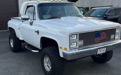 Chevrolet C-10 1983 Standard Cab Pickup