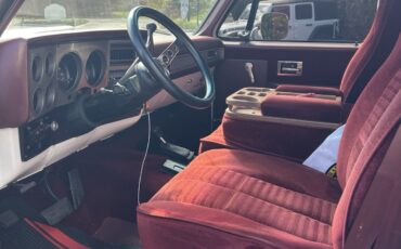 Chevrolet-C-10-1983-Standard-Cab-Pickup-6