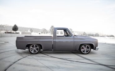 Chevrolet-C-10-1983-Standard-Cab-Pickup-6
