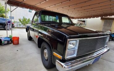 Chevrolet-C-10-1984-3