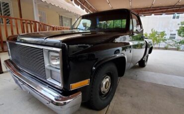 Chevrolet-C-10-1984-4
