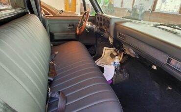 Chevrolet-C-10-1984-9