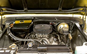 Chevrolet-C10-1966-Other-11