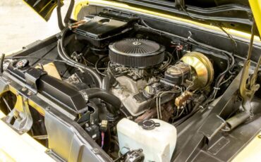 Chevrolet-C10-1966-Other-13