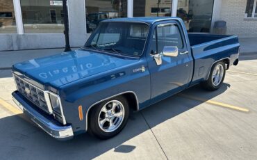 Chevrolet-C10-1979-Medium-Blue-Blue-1