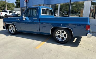 Chevrolet-C10-1979-Medium-Blue-Blue-4