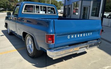 Chevrolet-C10-1979-Medium-Blue-Blue-6