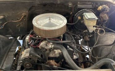 Chevrolet-C10-1979-White-1
