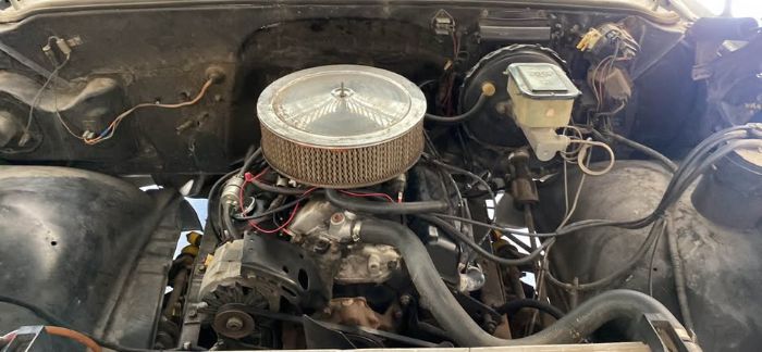 Chevrolet-C10-1979-White-1