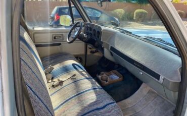 Chevrolet-C10-1979-White-12
