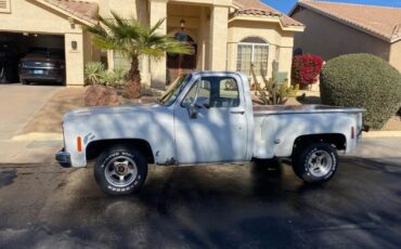 Chevrolet-C10-1979-White-2