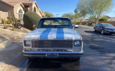 Chevrolet-C10-1979-White-3