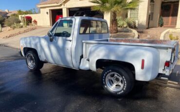 Chevrolet-C10-1979-White-5