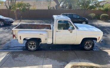 Chevrolet-C10-1979-White-6
