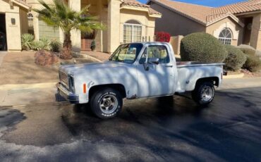 Chevrolet-C10-1979-White-8