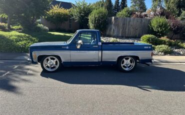 Chevrolet-C10-1979-blue-and-silver-grey-1