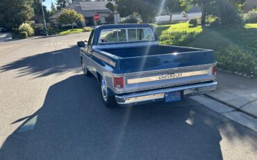 Chevrolet-C10-1979-blue-and-silver-grey-2