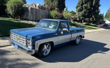Chevrolet-C10-1979-blue-and-silver-grey