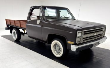 Chevrolet-C10-1986-Brown-Beige-15