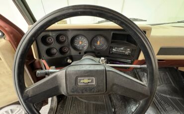 Chevrolet-C10-1986-Brown-Beige-48