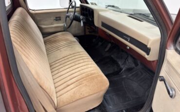Chevrolet-C10-1986-Brown-Beige-8