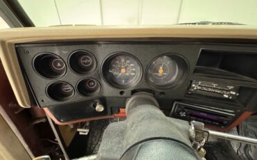 Chevrolet-C10-1986-Brown-Beige-9