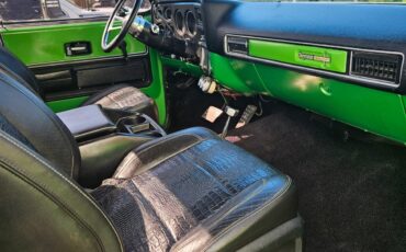 Chevrolet-C10K10-1973-Cab-Chassis-13