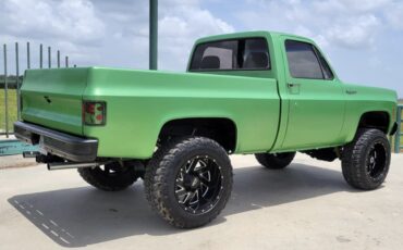 Chevrolet-C10K10-1973-Cab-Chassis-7