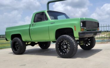 Chevrolet-C10K10-1973-Cab-Chassis-9