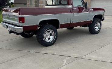 Chevrolet-C10K10-1979-3