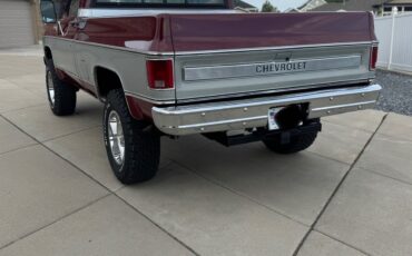 Chevrolet-C10K10-1979-4