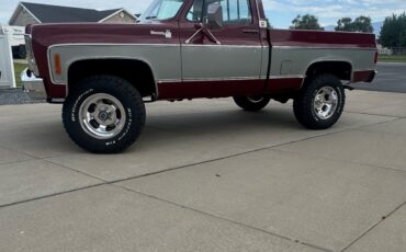 Chevrolet-C10K10-1979-6