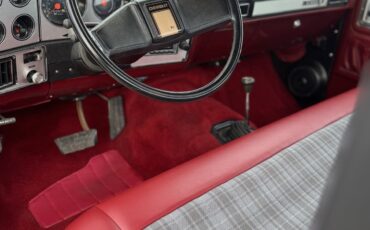 Chevrolet-C10K10-1979-8