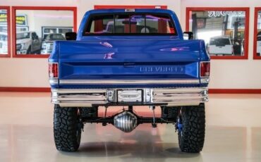 Chevrolet-CK-20-1981-2D-Standard-Cab-10