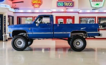Chevrolet-CK-20-1981-2D-Standard-Cab-11