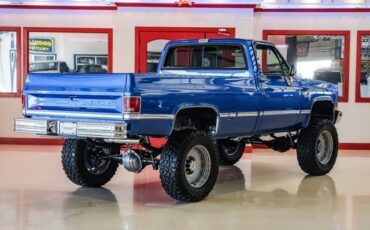 Chevrolet-CK-20-1981-2D-Standard-Cab-2