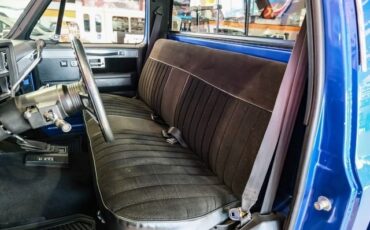 Chevrolet-CK-20-1981-2D-Standard-Cab-28
