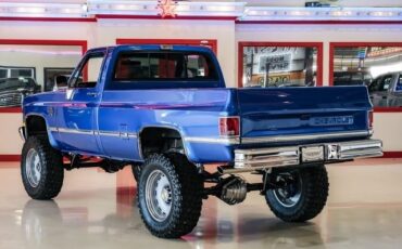 Chevrolet-CK-20-1981-2D-Standard-Cab-3