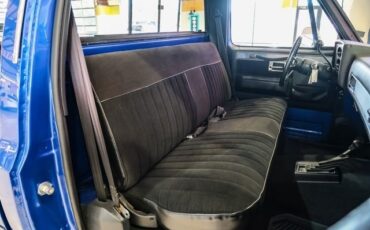 Chevrolet-CK-20-1981-2D-Standard-Cab-30