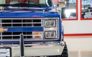 Chevrolet-CK-20-1981-2D-Standard-Cab-34