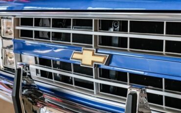 Chevrolet-CK-20-1981-2D-Standard-Cab-39