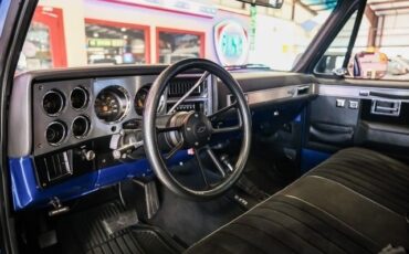 Chevrolet-CK-20-1981-2D-Standard-Cab-4