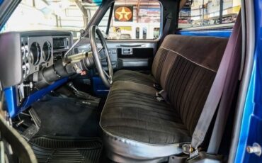 Chevrolet-CK-20-1981-2D-Standard-Cab-5