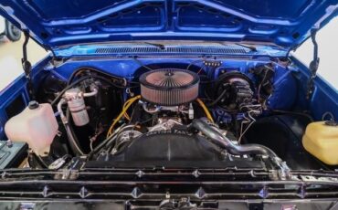 Chevrolet-CK-20-1981-2D-Standard-Cab-6