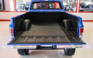 Chevrolet-CK-20-1981-2D-Standard-Cab-7