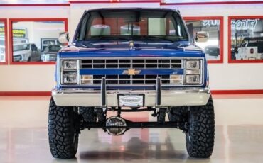Chevrolet-CK-20-1981-2D-Standard-Cab-8