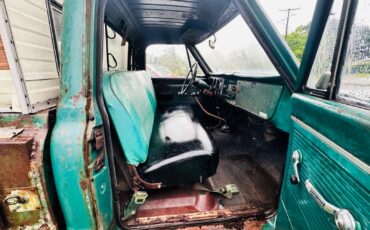 Chevrolet-CK-Pickup-1500-1969-Standard-Cab-Pickup-10