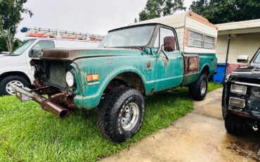 Chevrolet-CK-Pickup-1500-1969-Standard-Cab-Pickup-2
